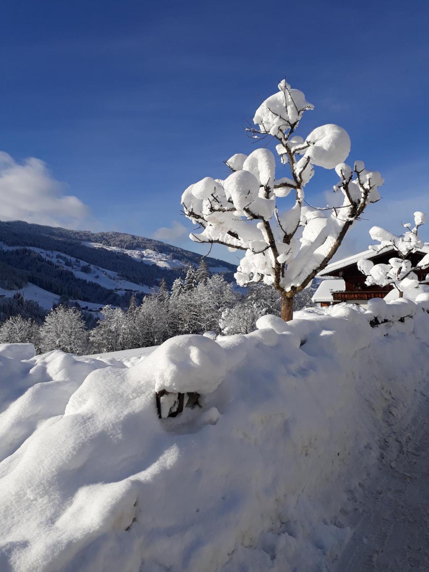 Haus Gmahblick Ferienwonungen Hotel Алпбах Екстериор снимка